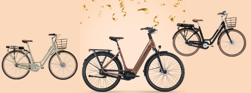 100 års jubilæum E-fly