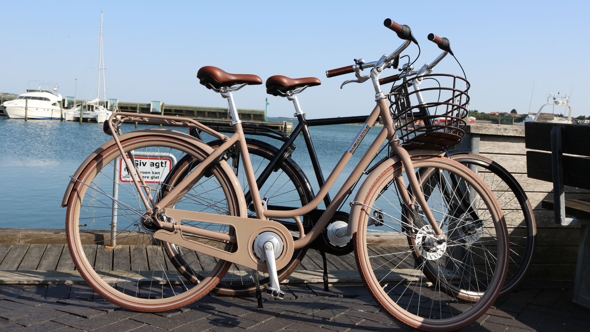 faltgarage für fahrradanhänger ZWEIBERG® Universelle Robuste und wasserdichte Abdeckung Regenschutz mit UV-Schutz, easyRemoval Sport & DS Color:the Ballona e-24 Fischer Cita 4.2i E-Bike