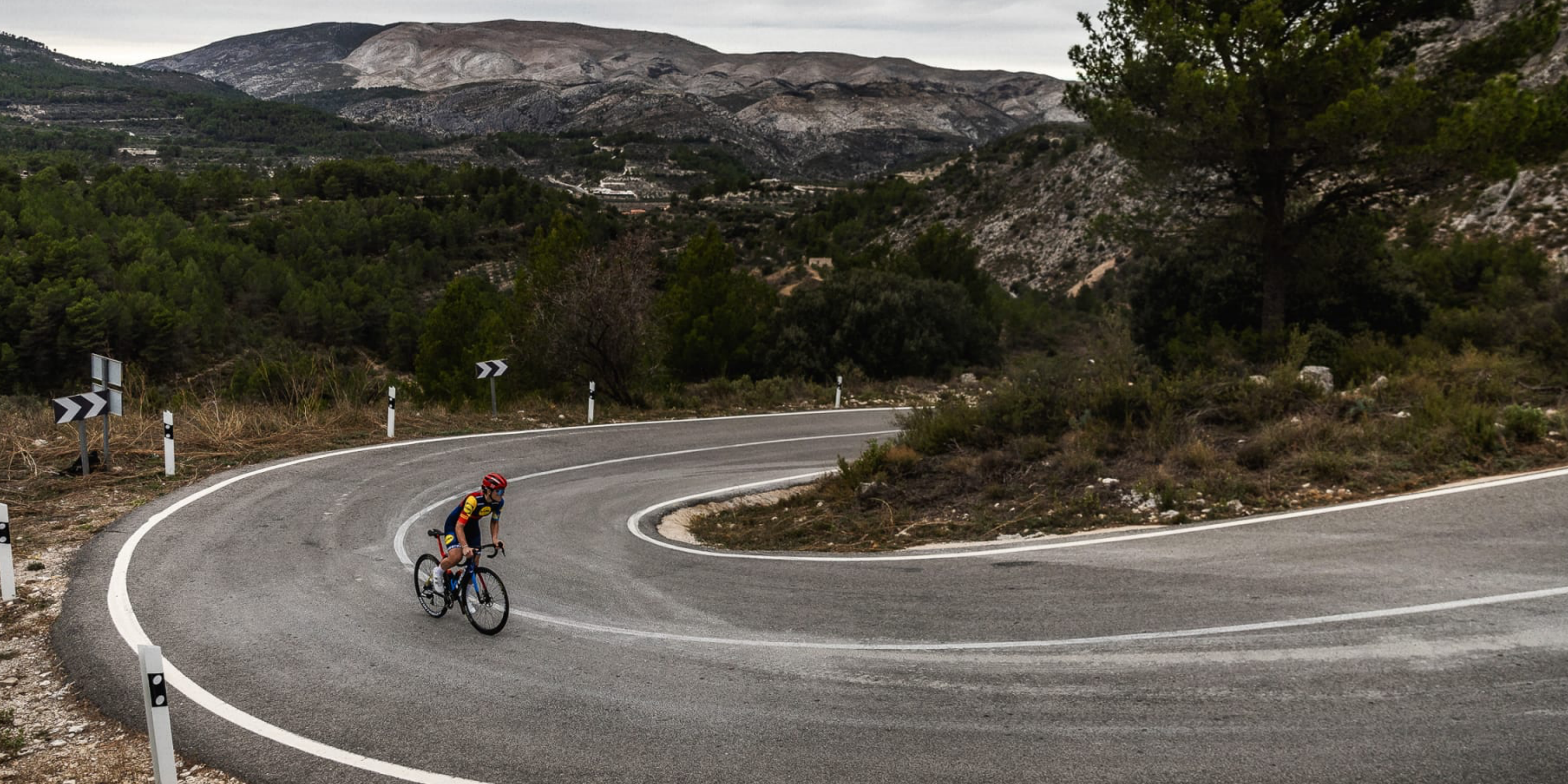Trek Madone SLR Racercykel