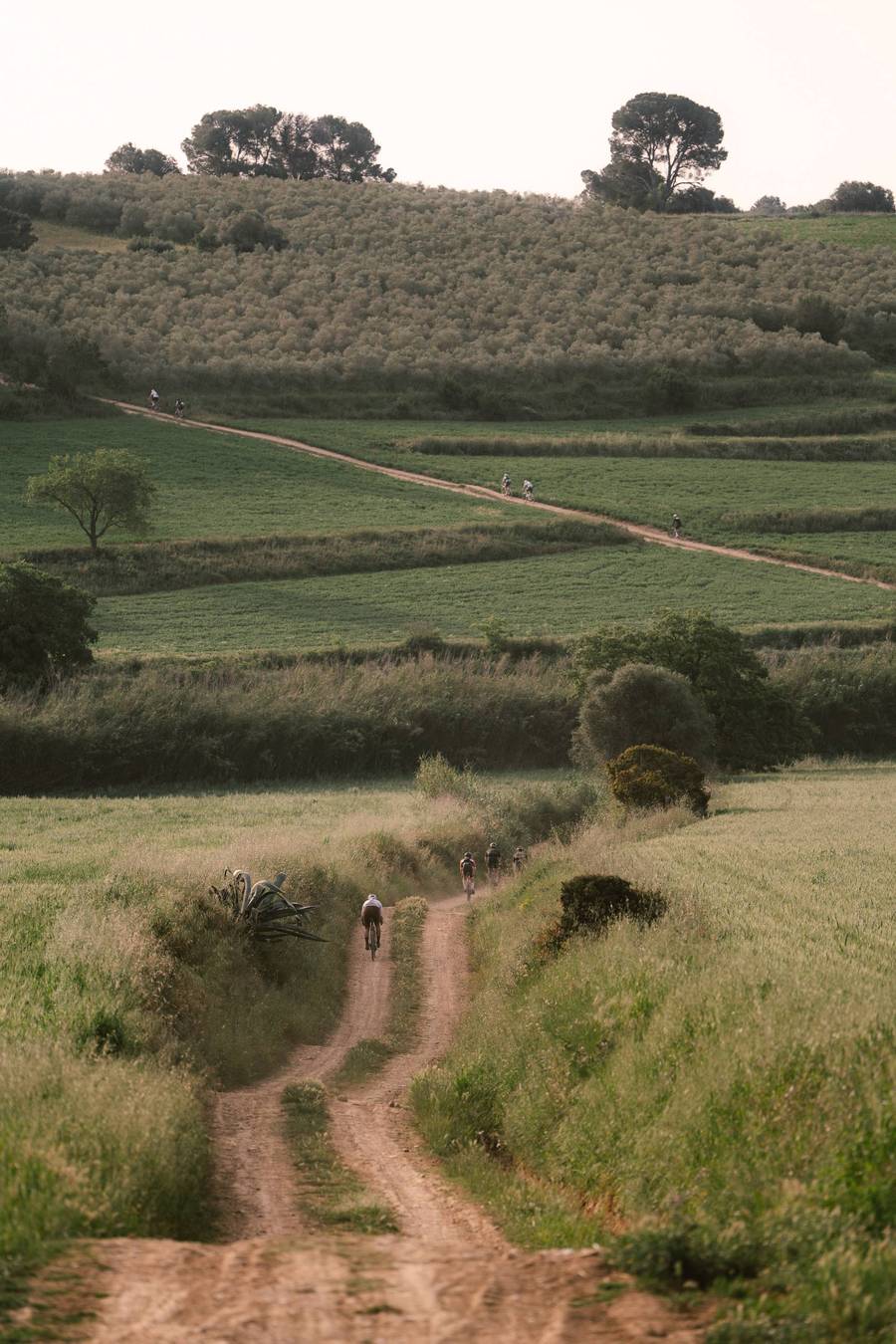 BB Alpha for BSA Shimano Gravel