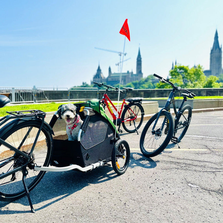 BURLEY Dog trailer Tail Wagon