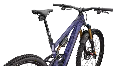 S-Works Turbo Levo SL 2