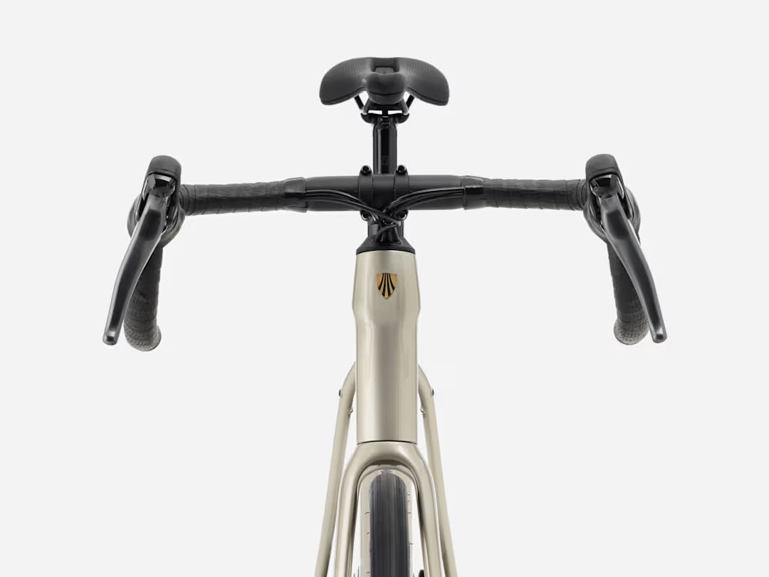 Trek Domane AL 2 Gen 4