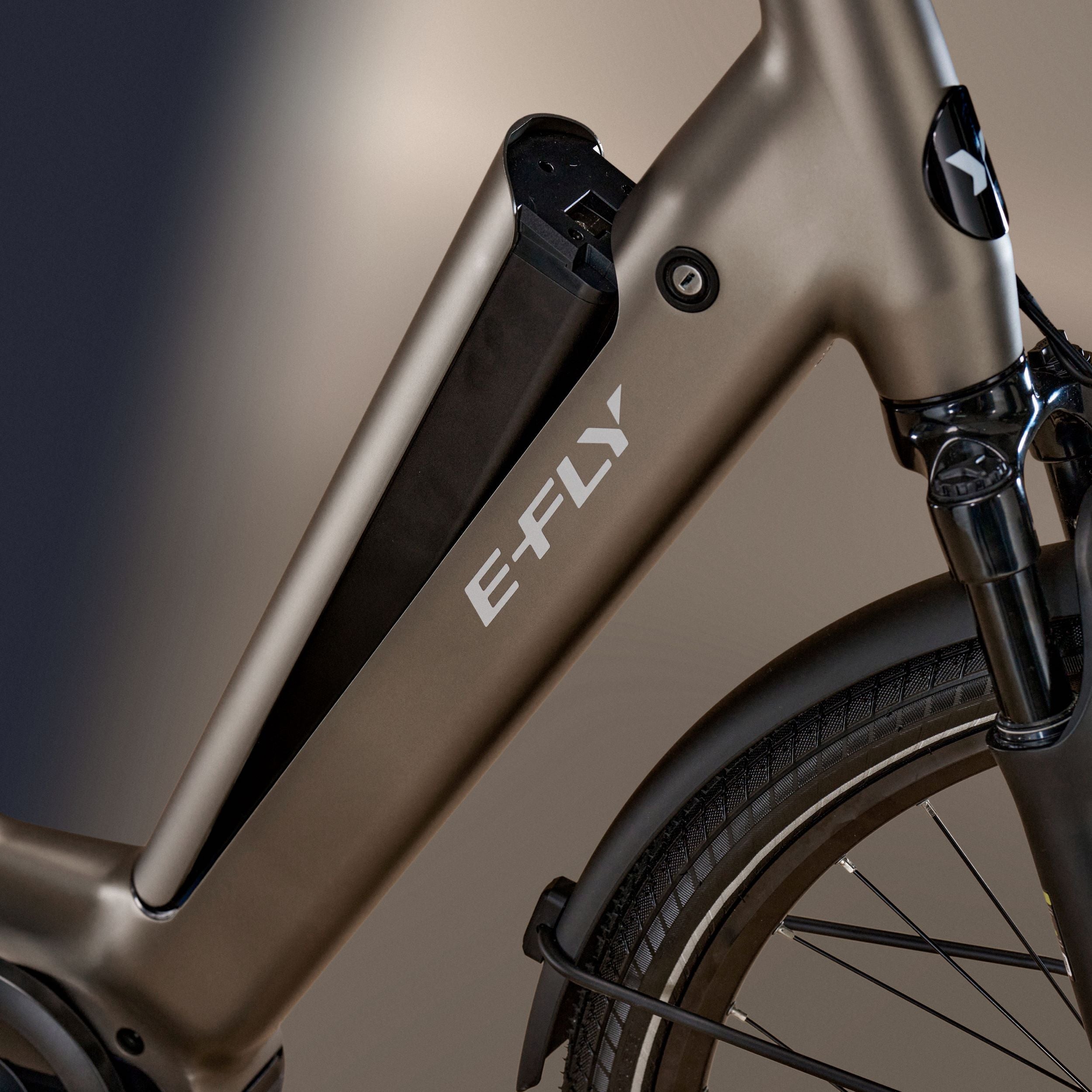 E-FLY Vela