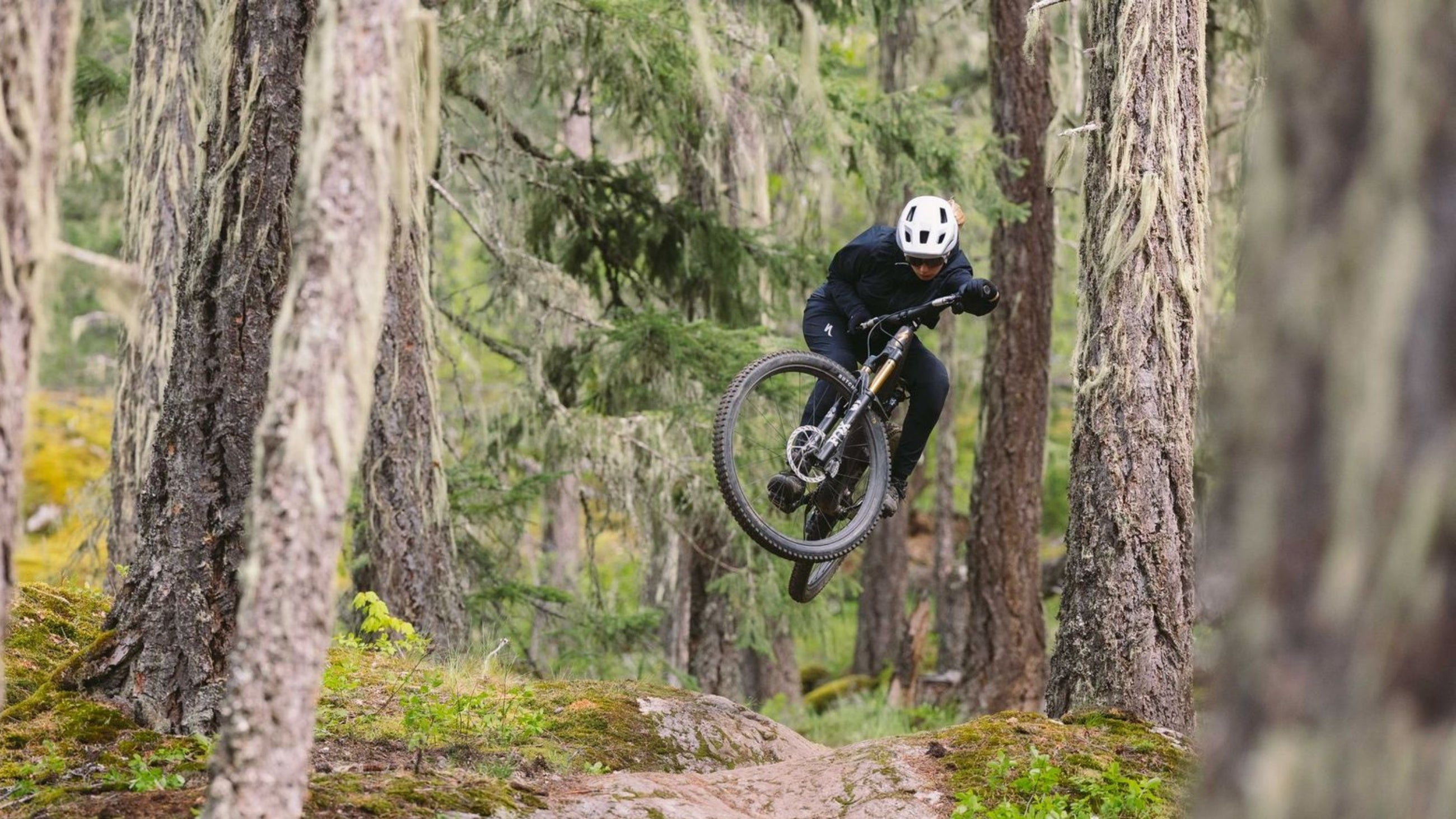 Service af forgafler og bagdæmpere