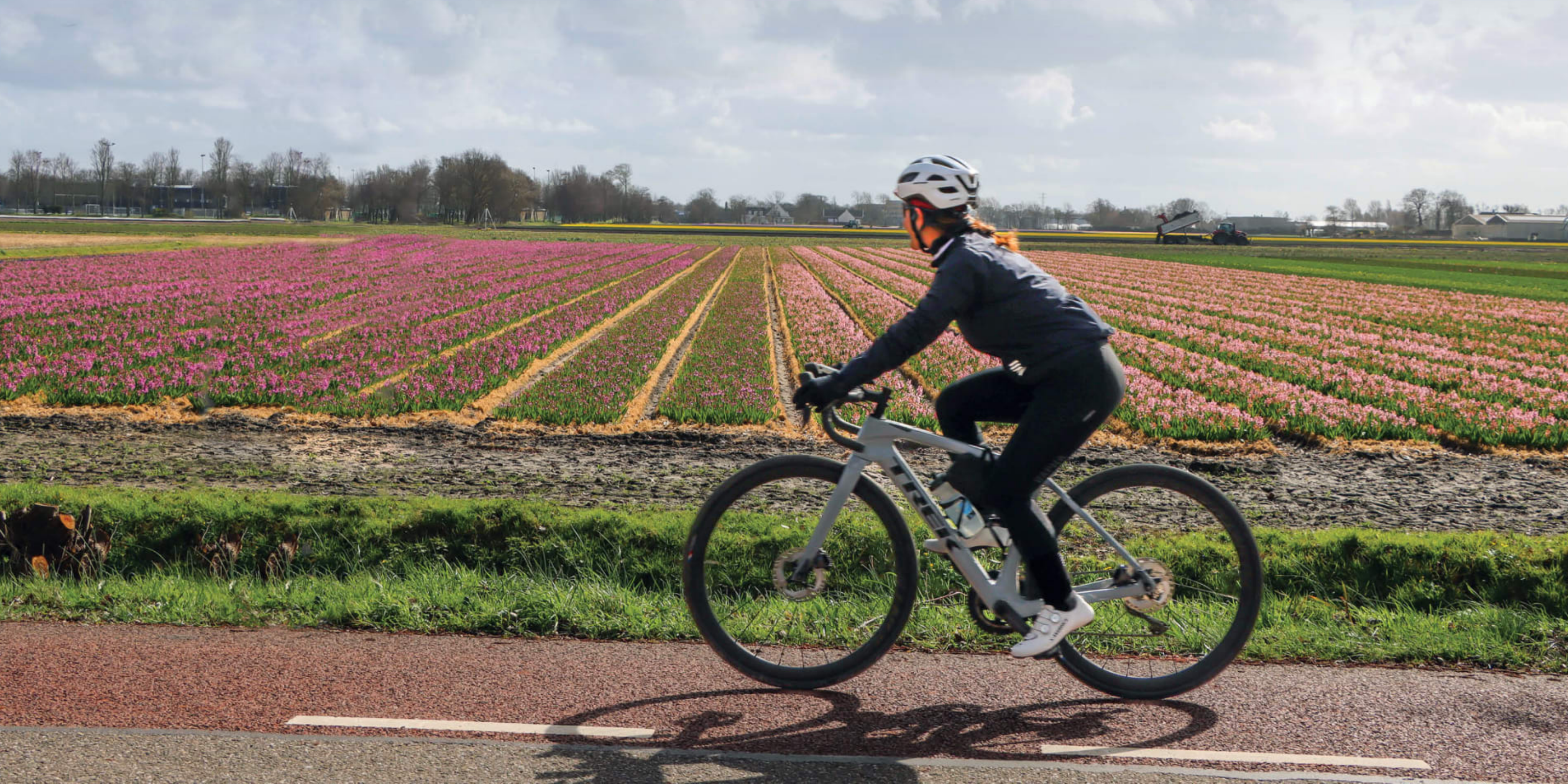 Trek Domane