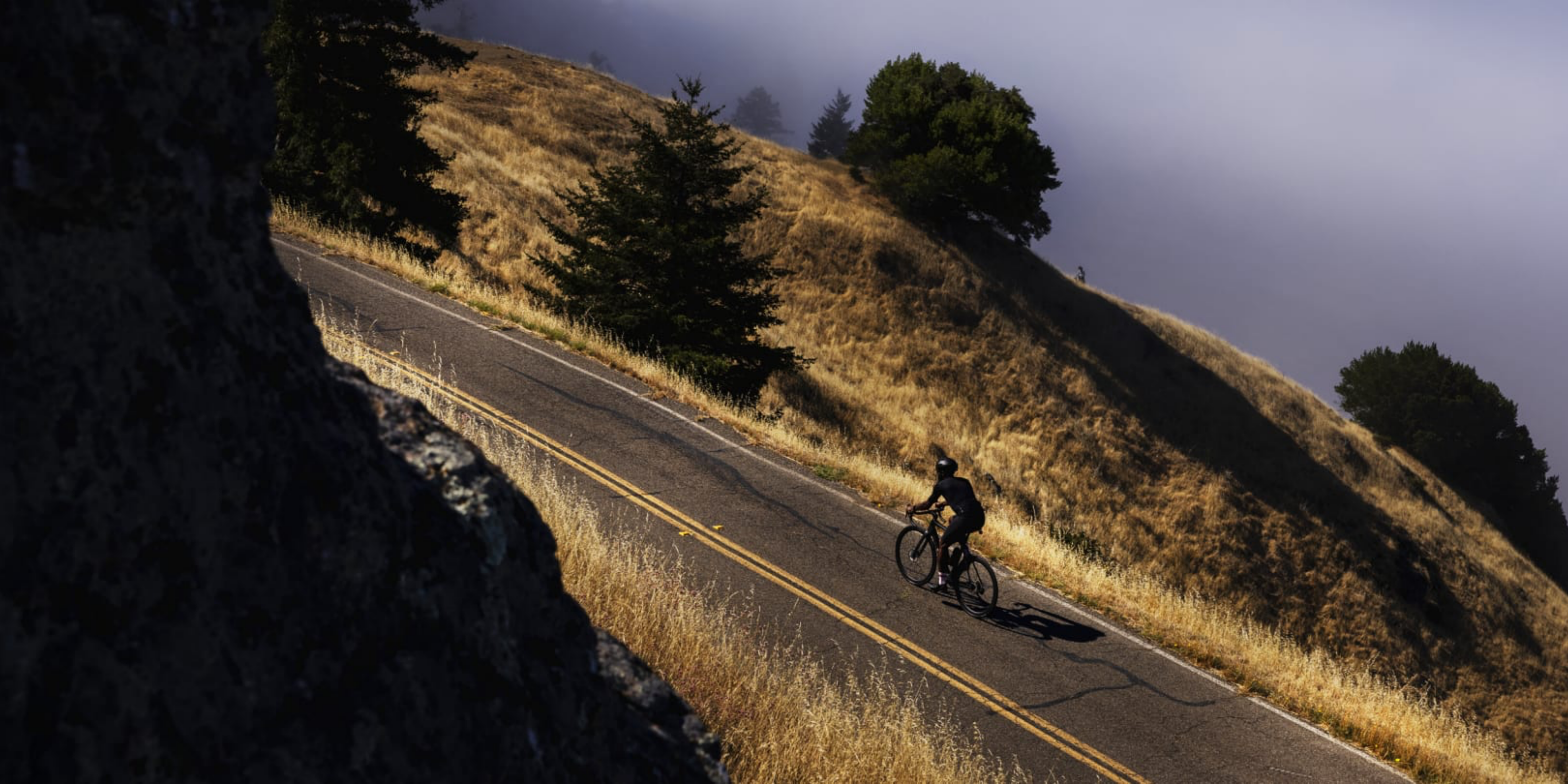 Trek Domane SL Racercykler