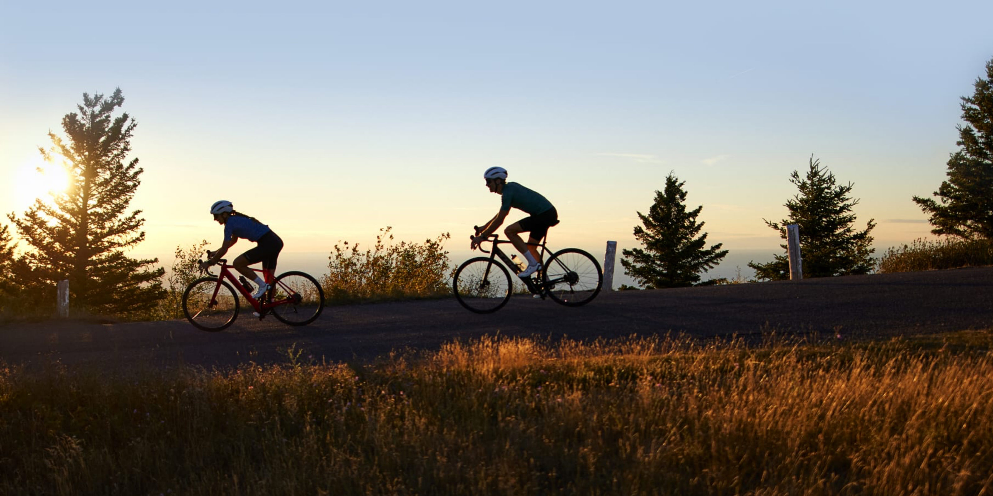 Trek Domane AL Racercykler