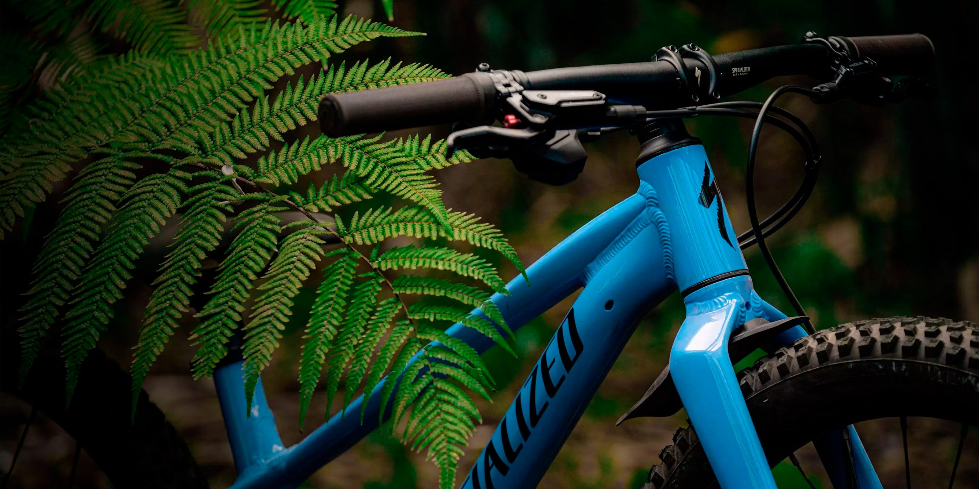 Specialized Riprock Børnecykler