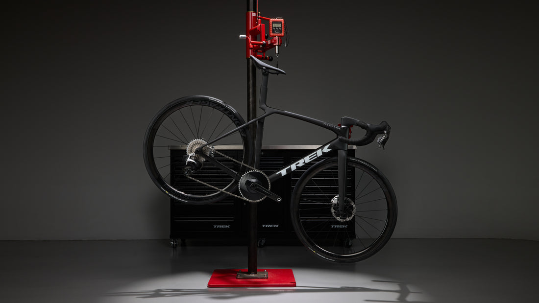 Madone
