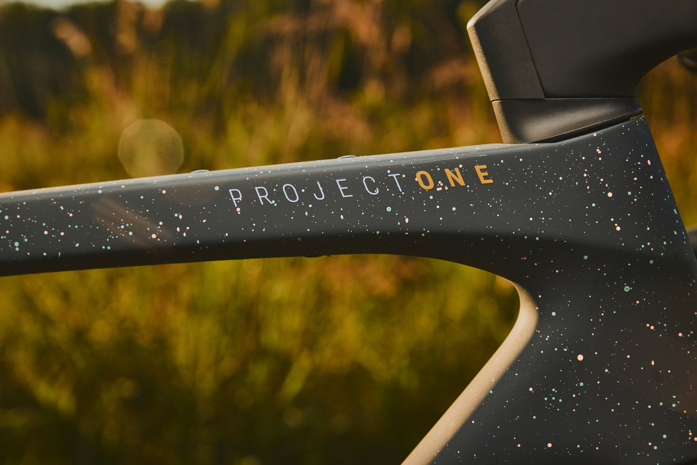 Project One Owners Club