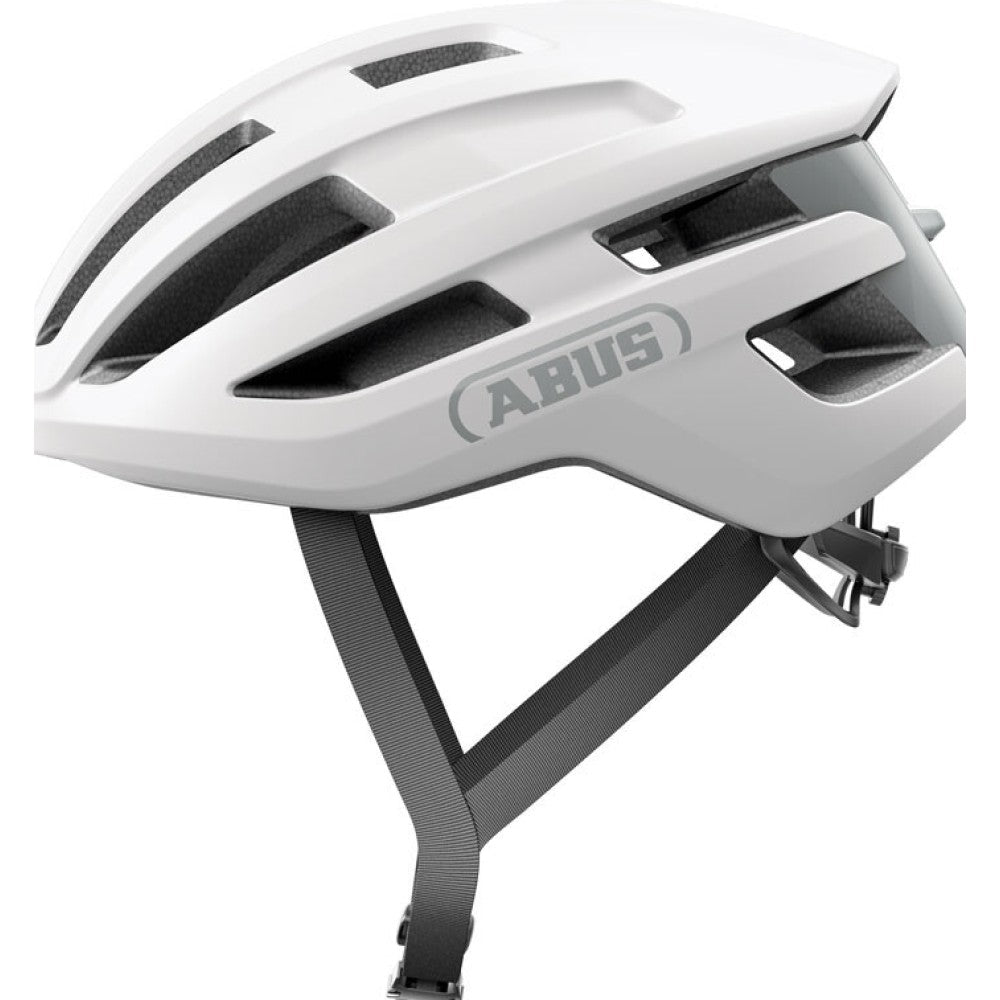 Abus PowerDome