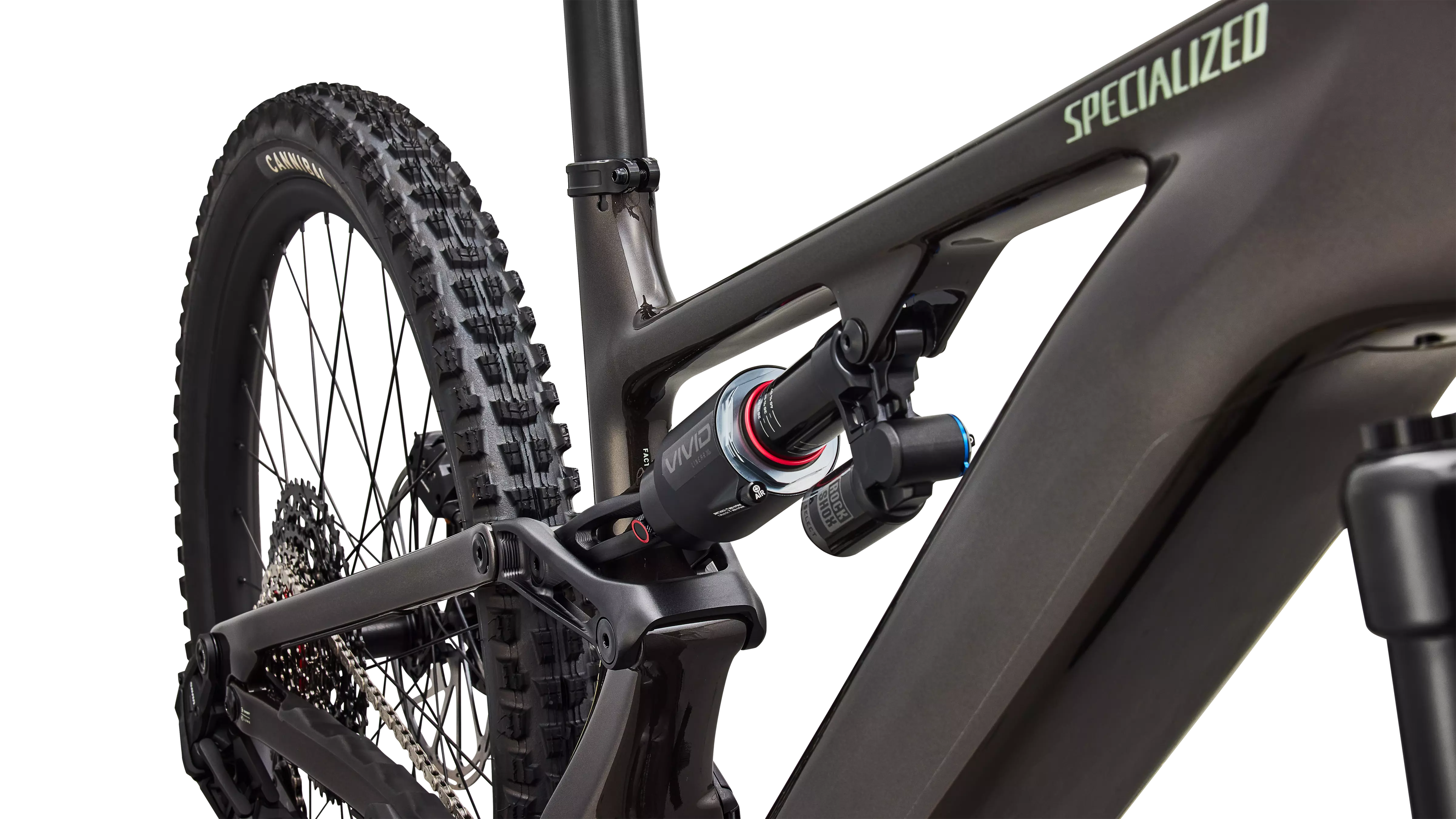 Specialized Levo 4 EVO Comp
